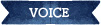 VOICE
